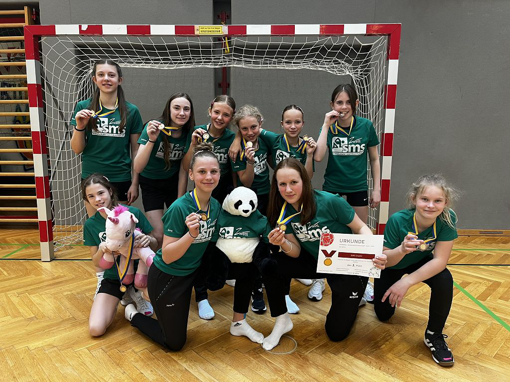 Handball Landesfinale